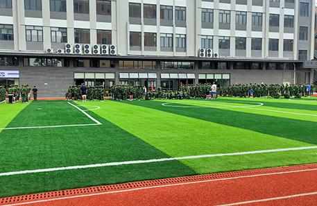 深圳滨海高级中学人造草足球场